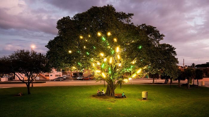 Electric Tree | citybiz