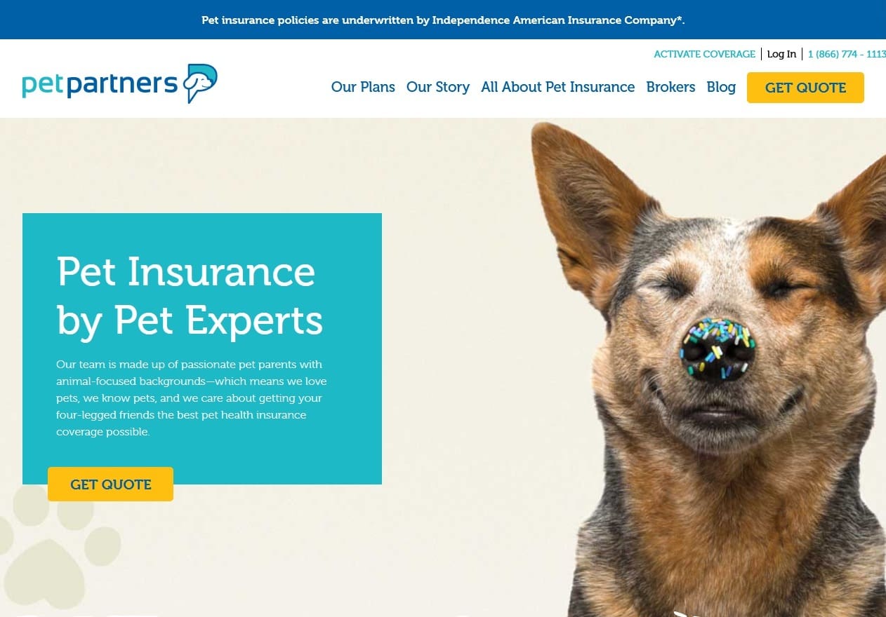 Independence Pet Group Announces Senior Management Team Additions | Citybiz