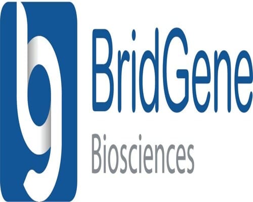 BridGene Biosciences Logo | citybiz