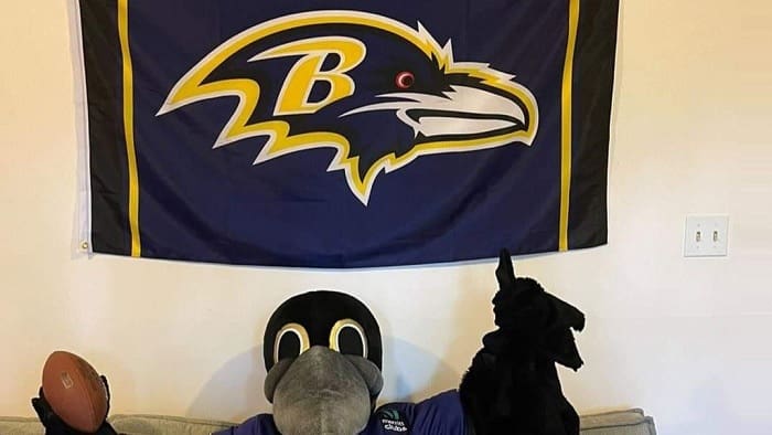 Ravens mascot Poe back on the field after preseason drumstick